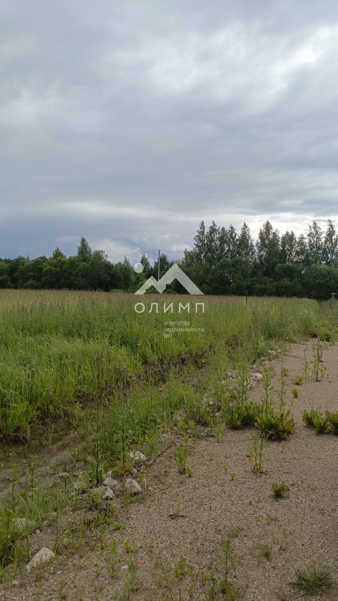 Россия, Вологда, СНТ Доронинский