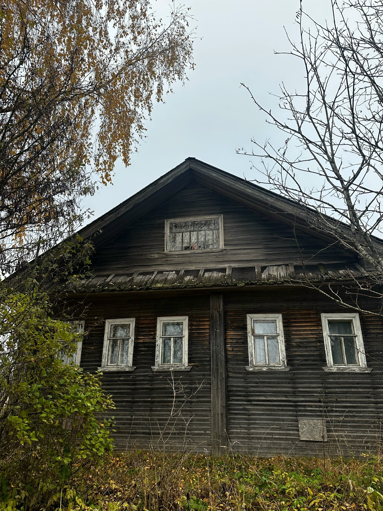 Россия, Вологодская область, Харовский муниципальный округ, деревня Гречутино