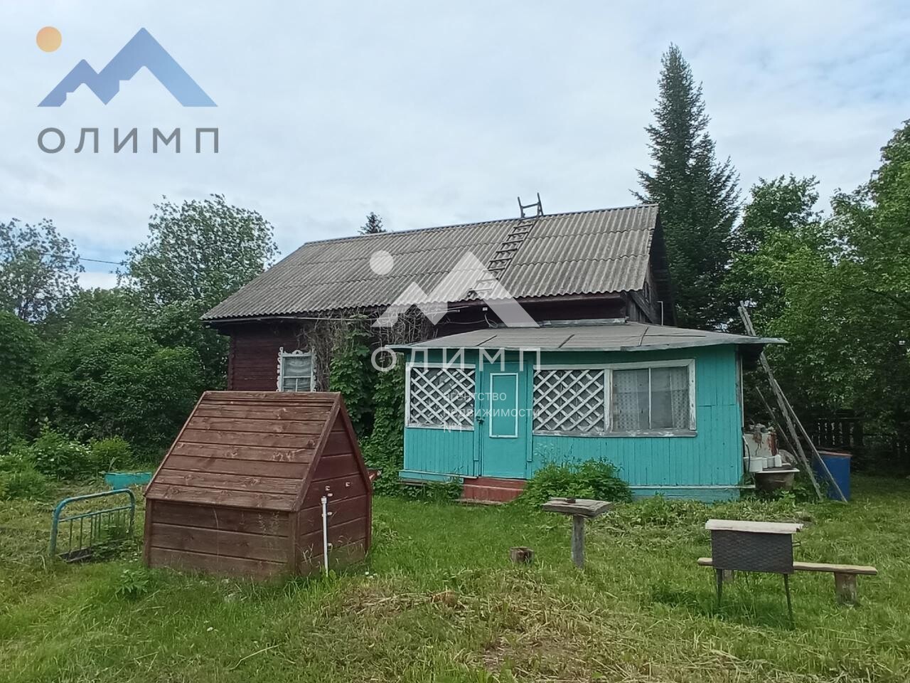 Россия, Вологодская область, Харовский муниципальный округ, деревня Боровиково