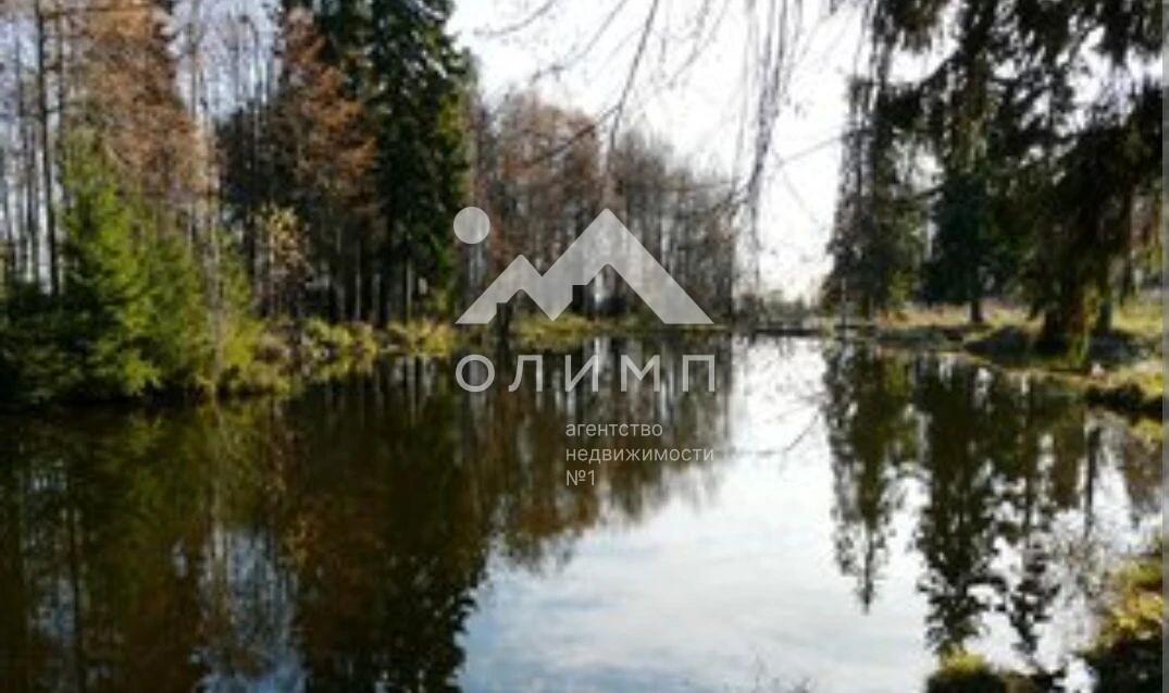 Россия, Вологодская область, Сокольский муниципальный округ, деревня Марковское, 1