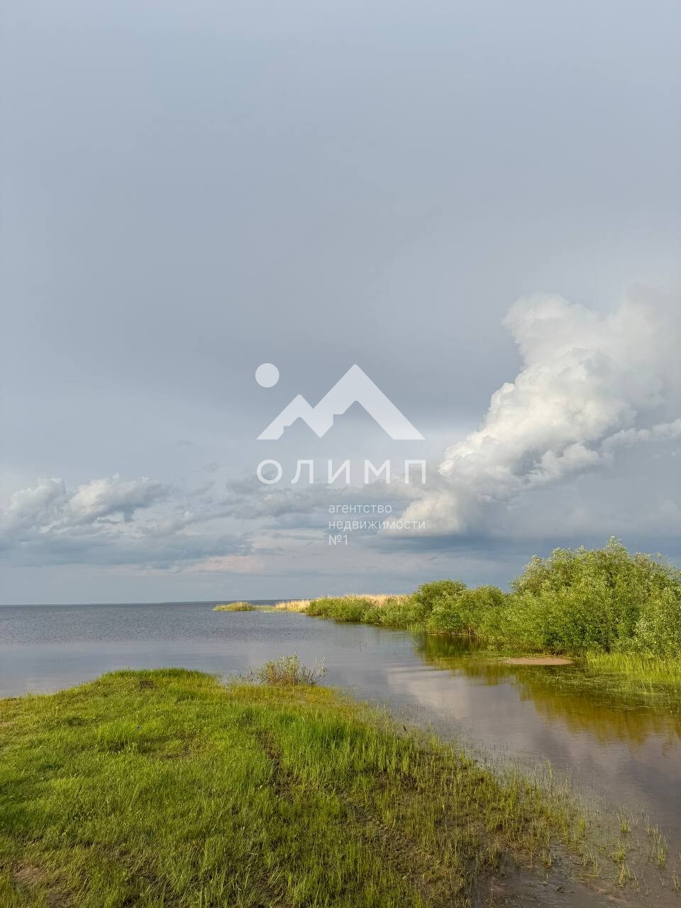 Россия, Вологодский муниципальный округ, деревня Новое (Борисовский сельсовет)