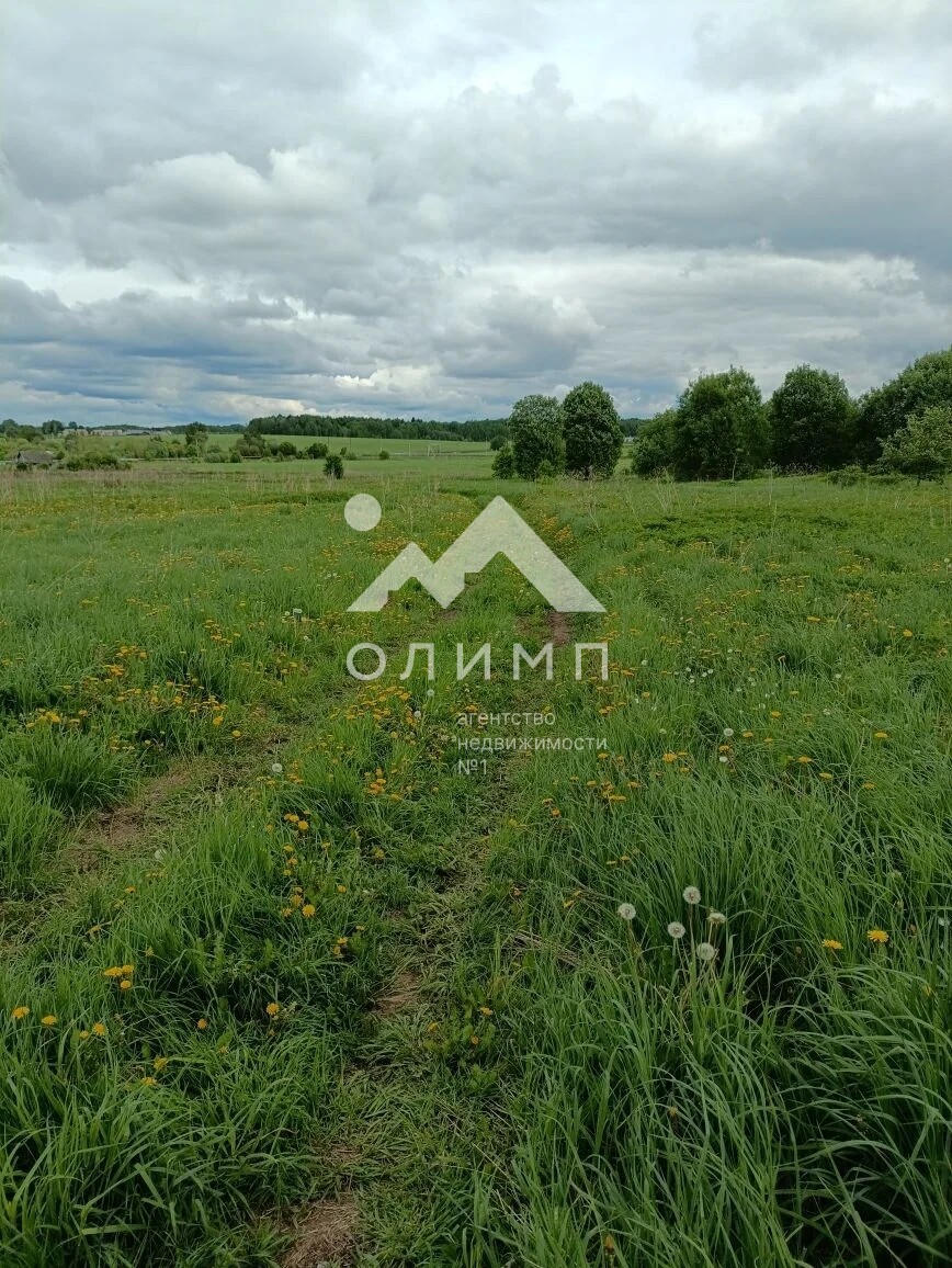 Россия, Вологодский муниципальный округ, посёлок Грибково