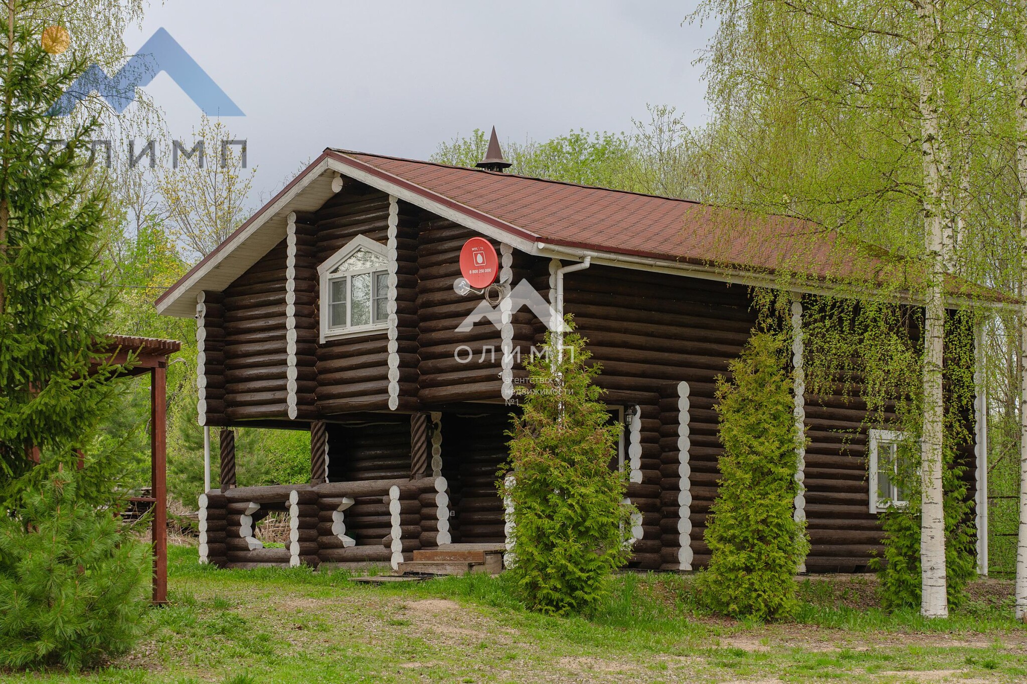 Россия, Вологодская область, Шекснинский муниципальный округ, деревня Погорелка (Ершовский сельсовет)