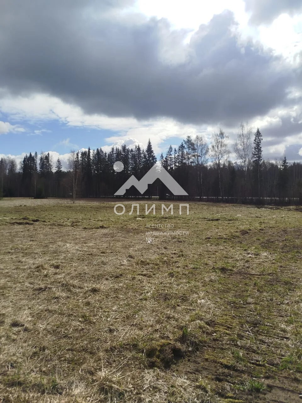 Россия, Вологодская область, Сокольский муниципальный округ, деревня Барское, 16