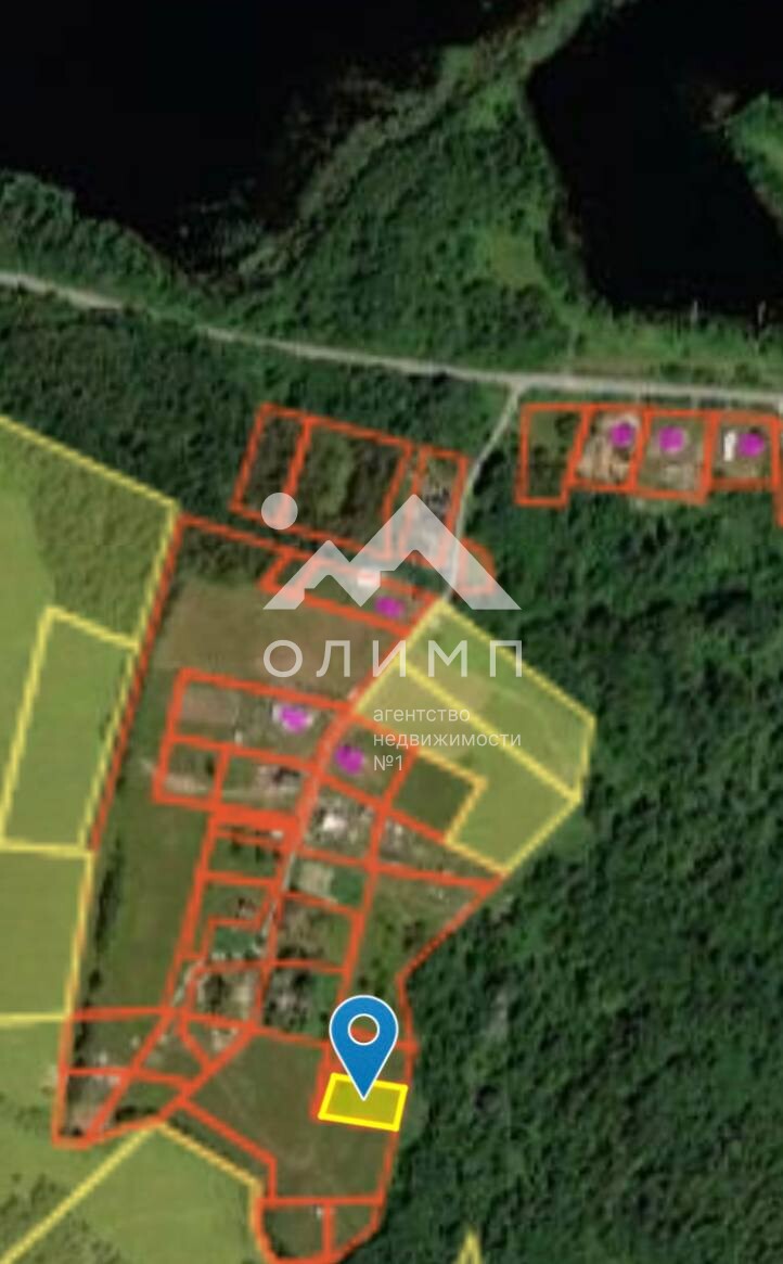 Россия, Вологодская область, Кирилловский муниципальный округ, деревня Дьяконовская