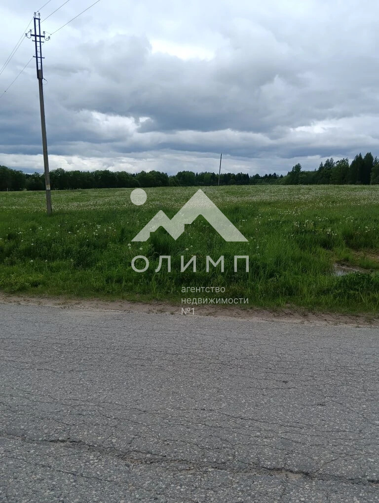 Россия, Вологодская область, Кирилловский муниципальный округ, деревня Щаниково