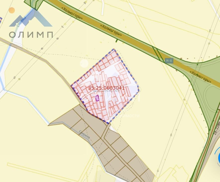 Россия, Вологодский муниципальный округ, деревня Дмитриевское (Новленский сельсовет)