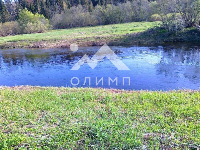 Россия, Вологодский муниципальный округ, деревня Матвеевское (Марковский сельсовет)