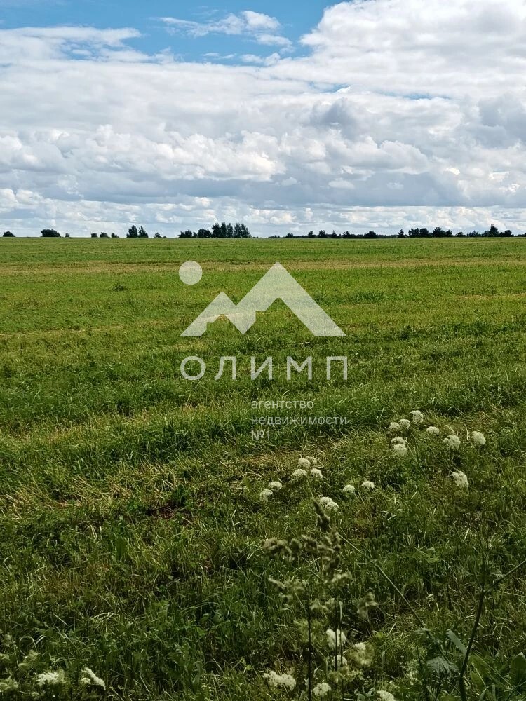 Россия, Вологодская область, Усть-Кубинский муниципальный округ, деревня Климушино (Высоковское сельское поселение)