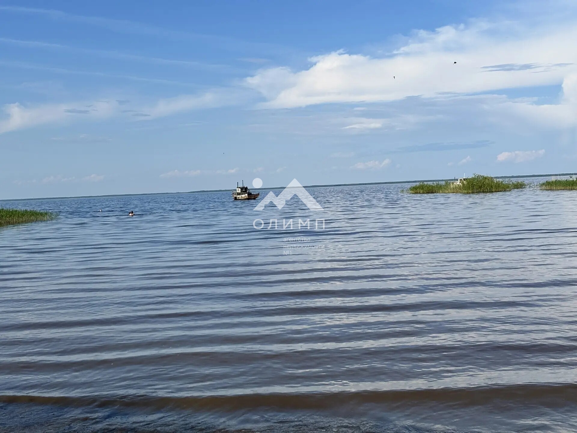 Россия, Вологодский муниципальный округ, деревня Новое (Борисовский сельсовет)