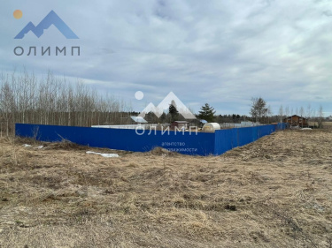 Россия, Вологодский муниципальный округ, деревня Щекино