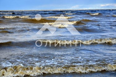 Россия, Вологодская область, Вашкинский муниципальный округ, село Троицкое