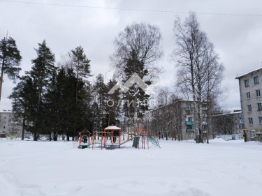 Россия, Вологодский муниципальный округ, посёлок Федотово, 2