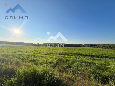 Россия, Вологодская область, Грязовецкий муниципальный округ, деревня Погорелка (сельское поселение Юровское)