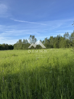 Россия, Вологодский муниципальный округ, деревня Матвеевское (Марковский сельсовет)