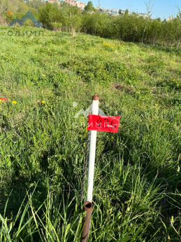 Россия, Вологодский муниципальный округ, деревня Игнатово