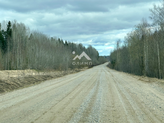 Россия, Вологодский муниципальный округ, деревня Горка (Кипеловский сельсовет)
