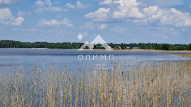 Россия, Вологодская область, Кирилловский муниципальный округ, деревня Гридинская, 2