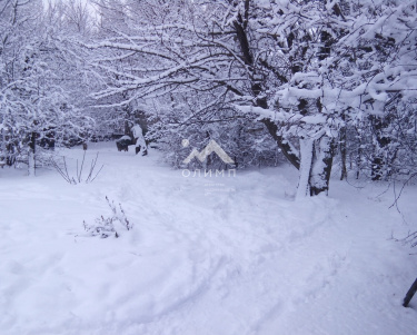 Россия, Вологодская область, Междуреченский муниципальный округ, деревня Ноземские Исады, 10