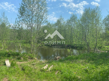 Россия, Вологодская область, Усть-Кубинский муниципальный округ, деревня Королиха, Молодёжная улица, 12