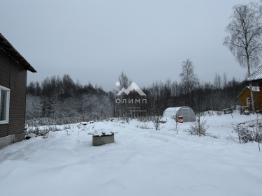 Россия, Вологодский муниципальный округ, посёлок Грибково