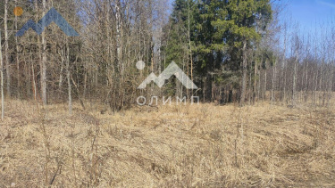 Россия, Вологодский муниципальный округ, село Погорелово