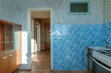 Россия, Вологодская область, Сокольский муниципальный округ, деревня Литега, 23