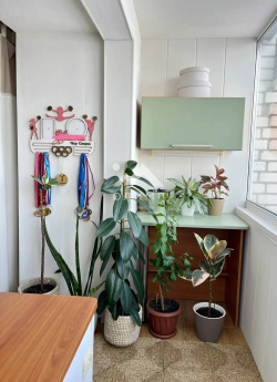 Россия, Вологда, Профсоюзная улица, 23