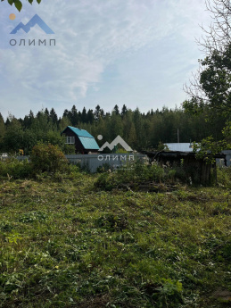 Россия, Вологодский муниципальный округ, садоводческое товарищество Лиана