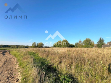 Россия, Вологодская область, Грязовецкий муниципальный округ, деревня Погорелка (сельское поселение Юровское)