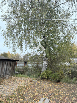 Россия, Вологодский муниципальный округ, садоводческое товарищество Броун 5672175596