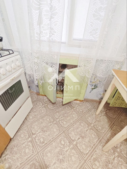 Россия, Вологодский муниципальный округ, посёлок Грибково, 2