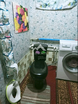 Россия, Вологодская область, Великоустюгский муниципальный округ, деревня Ишутино, 8