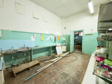 Россия, Вологодская область, Междуреченский муниципальный округ, село Шейбухта, Советская улица, 11А 5523865103