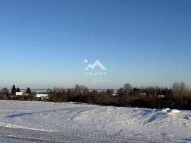 Россия, Вологодский муниципальный округ, деревня Павшино (Новленский сельсовет)