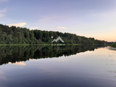 Россия, Вологодская область, Харовский муниципальный округ, деревня Угол