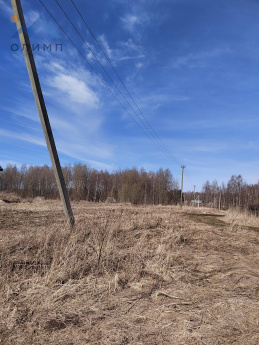Вологодская обл, поселок Грибково 14895