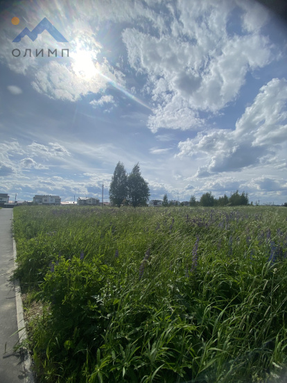 Вологодская область, деревня Марфино, Сосновая улица, 5 14836