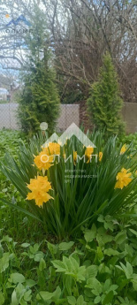 Россия, Вологодский муниципальный округ, садоводческое товарищество Зоренька-1