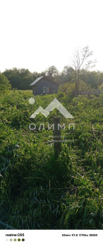 Россия, Вологодская область, Белозерский муниципальный округ, село Куность, Озёрная улица