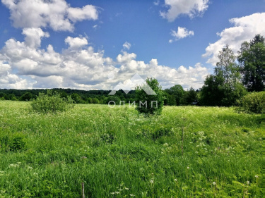 Россия, Вологодская область, Кирилловский муниципальный округ, деревня Кнышево