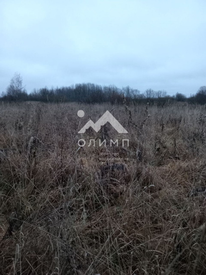 Россия, Ярославский муниципальный округ, деревня Дорожаево