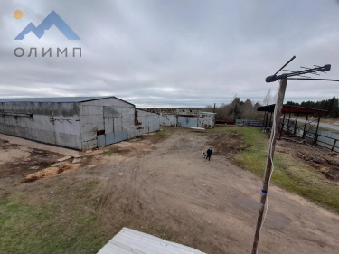 Россия, Вологодская область, Грязовецкий муниципальный округ, деревня Становищево, Садовая улица, 26 3422254143