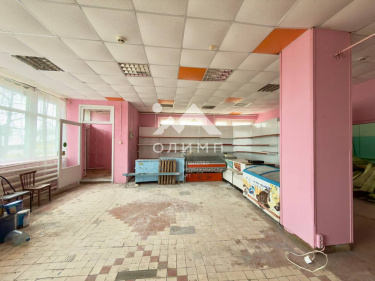 Россия, Вологодская область, Междуреченский муниципальный округ, село Шейбухта, Советская улица, 11А 5523865103