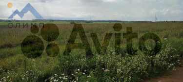 Россия, Вологодский муниципальный округ, деревня Пилатово 4702590441