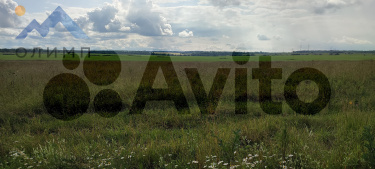 Россия, Вологодский муниципальный округ, деревня Пилатово 4702590441