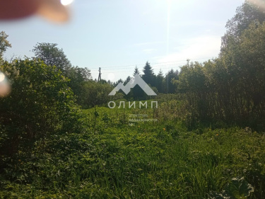Россия, Вологодская область, Харовский муниципальный округ, деревня Ивачинская