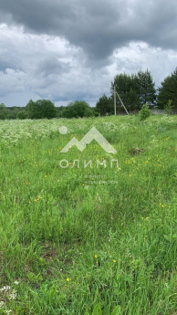 Россия, Вологодская область, Усть-Кубинский муниципальный округ, деревня Горка-1