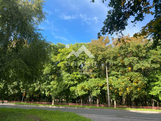 Россия, Вологда, улица Некрасова, 58