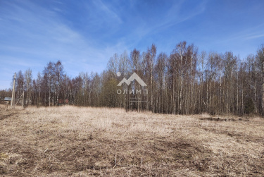 Россия, Вологодский муниципальный округ, посёлок Грибково, Янтарная улица